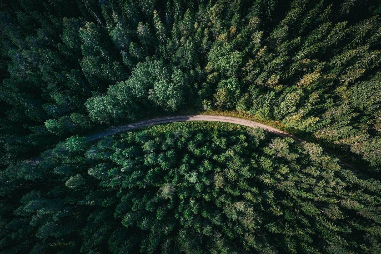 Environment a udržitelnost
